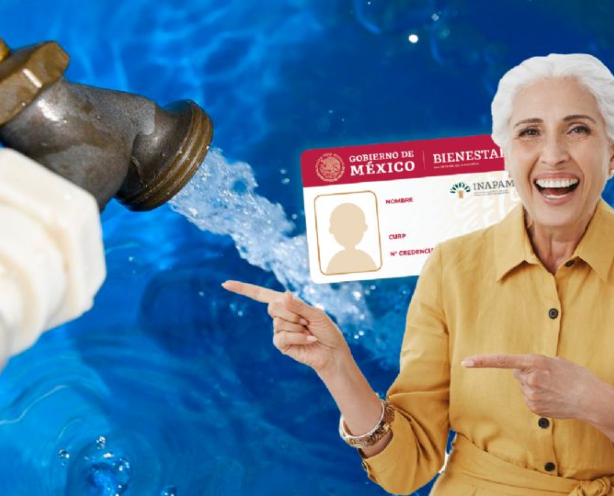 pensionado pensionado